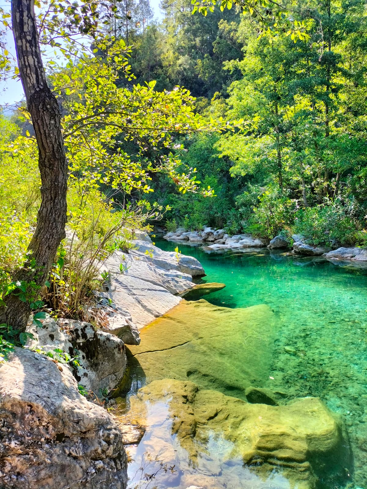 Dim Çayı: Alanya's Riverside Escape in the Mountains